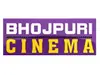 bhojpuri-cinema - Copy